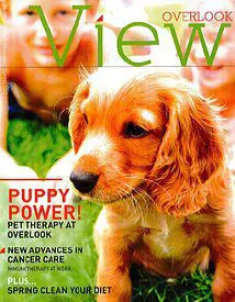 A dog is sitting on the cover of a magazine.